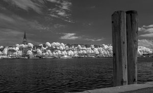 comp_IMG_8256.jpg comp_IMG_8256.jpg