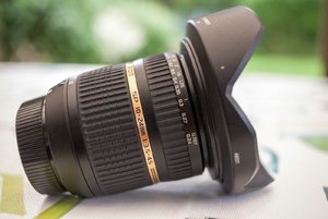 comp_IMG_8293.jpg comp_IMG_8293.jpg