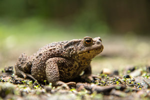 2016 06 26_2899_bearbeitet-2.jpg 2016 06 26_2899_bearbeitet-2.jpg