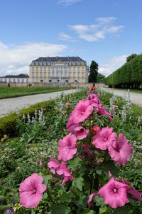 Augustusburg 16_011_FB.jpg