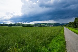 _DSC0724.jpg _DSC0724.jpg