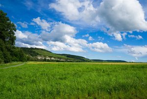 _DSC0725.jpg _DSC0725.jpg