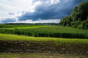 _DSC0726.jpg _DSC0726.jpg