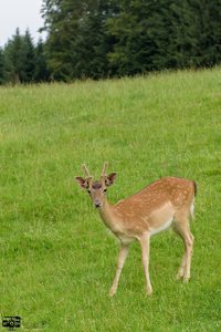 comp_ExLR DSC_2982.jpg