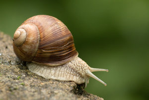 2016 07 03_2990_bearbeitet-2.jpg 2016 07 03_2990_bearbeitet-2.jpg