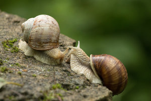 2016 07 03_2987_bearbeitet-2.jpg 2016 07 03_2987_bearbeitet-2.jpg