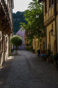 _DSC0747.jpg _DSC0747.jpg