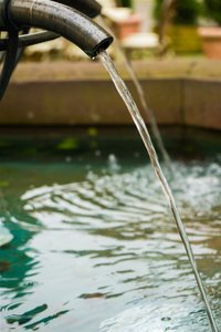 _DSC0771.jpg _DSC0771.jpg