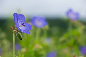 _DSC0792.jpg _DSC0792.jpg