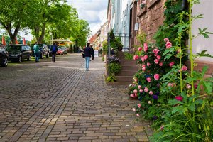 _DSC0814.jpg _DSC0814.jpg