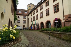 _DSC0828.jpg _DSC0828.jpg