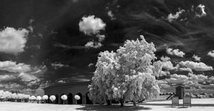 comp_IMG_8557_stitch.jpg comp_IMG_8557_stitch.jpg