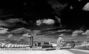 comp_IMG_8491sw.jpg comp_IMG_8491sw.jpg