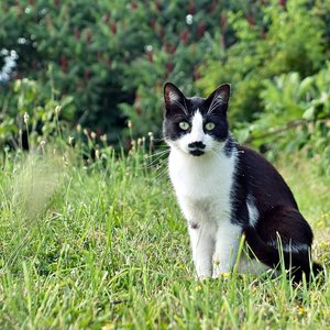 sw-labor_000015.jpg sw-labor_000015.jpg