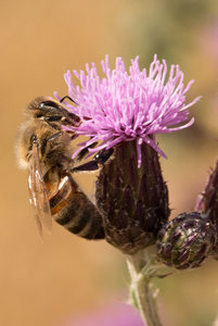 2016 07 12_3040_bearbeitet-2.jpg