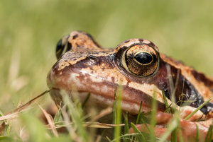 2016 07 12_3077_bearbeitet-1.jpg