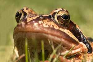 2016 07 12_3084_bearbeitet-1.jpg