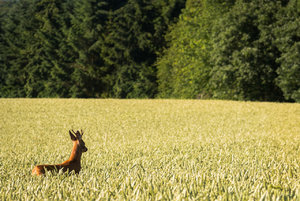 Fotoforum -79.jpg Fotoforum -79.jpg