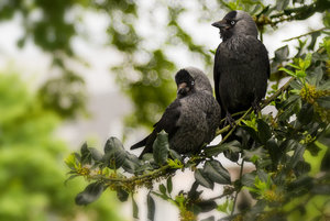 Fotoforum -80.jpg Fotoforum -80.jpg