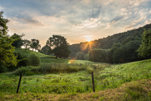 Fotoforum -81.jpg Fotoforum -81.jpg