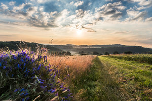 Fotoforum -83.jpg Fotoforum -83.jpg