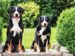 Fotoforum -85.jpg Fotoforum -85.jpg