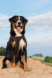 Fotoforum -84.jpg Fotoforum -84.jpg