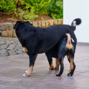 Fotoforum -87.jpg Fotoforum -87.jpg