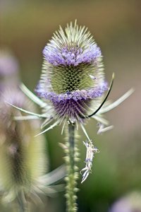 sw-labor_0125.jpg sw-labor_0125.jpg