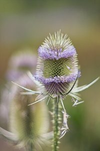 sw-labor_0126.jpg sw-labor_0126.jpg