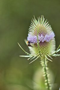 sw-labor_0127.jpg sw-labor_0127.jpg