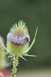 sw-labor_0128.jpg sw-labor_0128.jpg