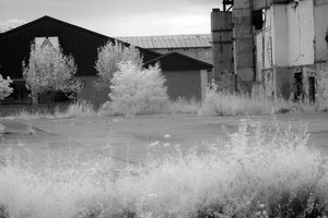 sw-labor_0185.jpg sw-labor_0185.jpg