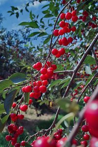 comp_SDIM0429_1-1 Kopie.jpg