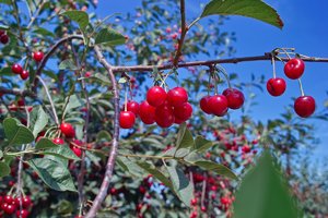 comp_SDIM0433_1-1 Kopie.jpg