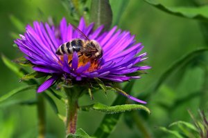 comp_SDIM9219_1-1 Kopie.jpg