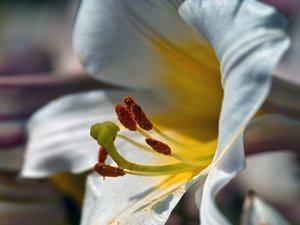 comp_SDIM9163_1-1 Kopie.jpg