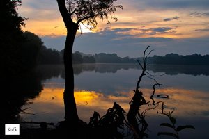 comp_SDIM0078_1-1 Kopie-1.jpg