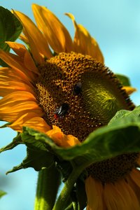 comp_SDIM0433_1-1 Kopie.jpg