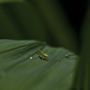 Im Garten (1 von 3).jpg