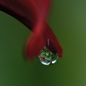 Im Garten (2 von 3).jpg