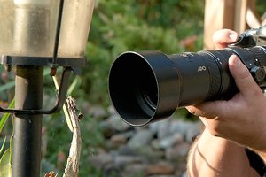 crop-klaus-DSC01467.jpg crop-klaus-DSC01467.jpg