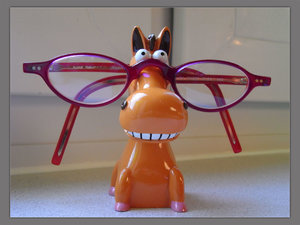 brillentraeger.jpg brillentraeger.jpg