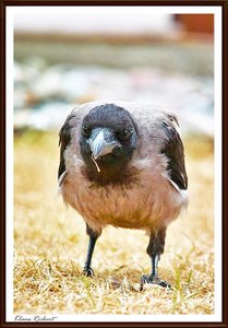 sample 20.jpg sample 20.jpg