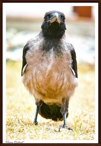 sample 21.jpg sample 21.jpg