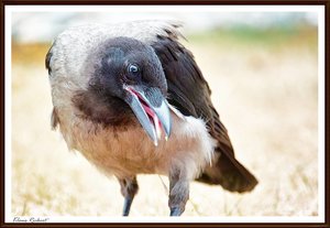 sample 22.jpg sample 22.jpg