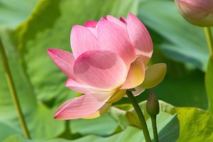 SDIM0893.jpg SDIM0893.jpg