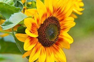 SDIM0933.jpg SDIM0933.jpg