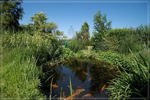 teich-DSC00576.jpg