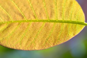 SDIM2832.jpg SDIM2832.jpg